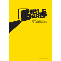 Bible en Bref (lot de 50 ex)