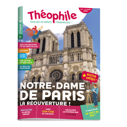 Théophile n°11 Notre Dame de Paris